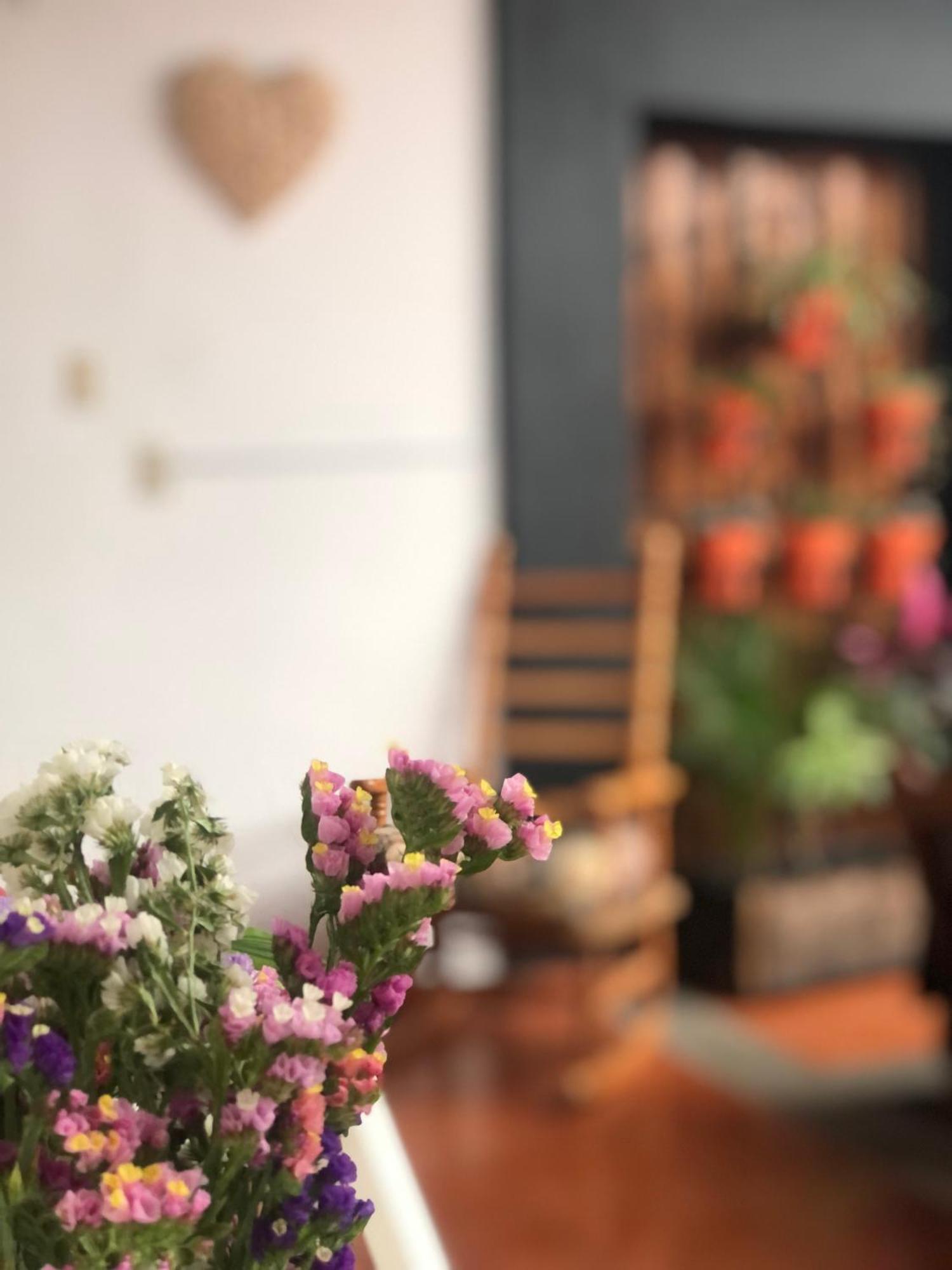 Hostal Casa Gaia San Cristóbal de Las Casas Extérieur photo