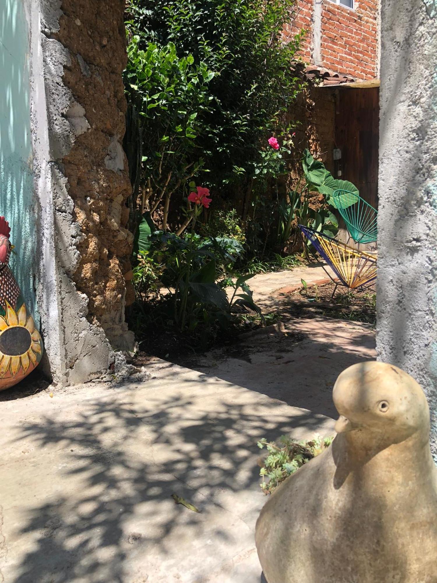 Hostal Casa Gaia San Cristóbal de Las Casas Extérieur photo